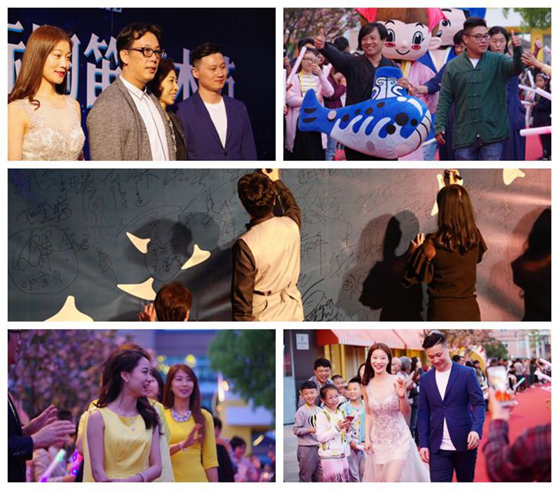 1492659678377490.jpg 6.jpg