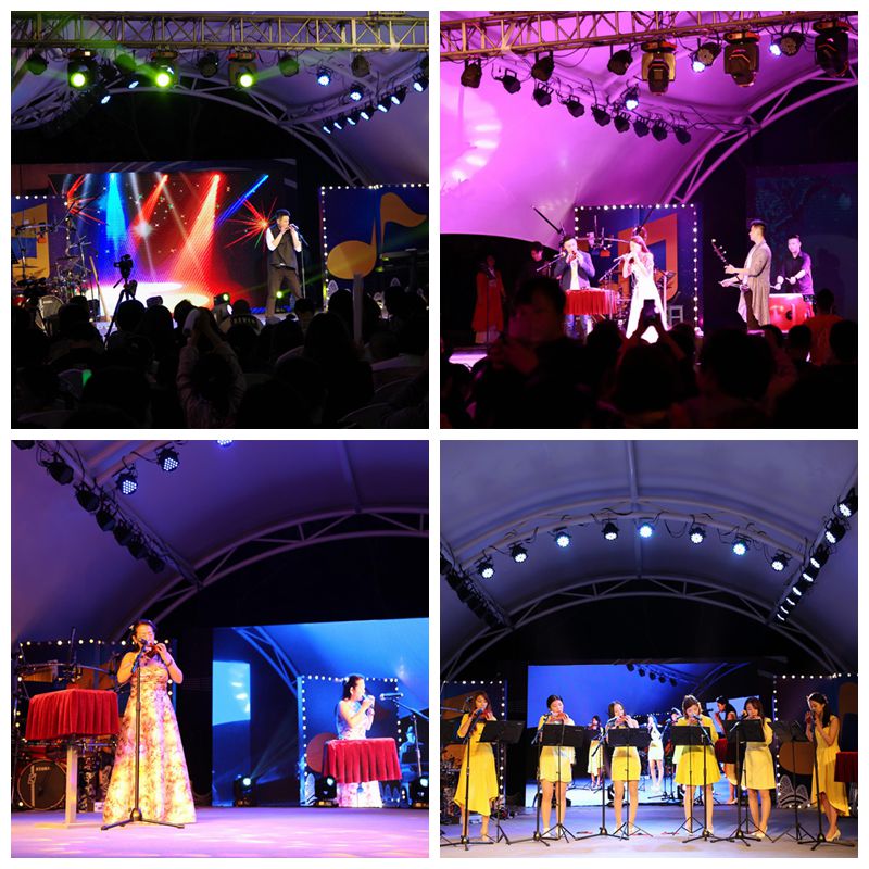 1492659876722603.jpg 10.jpg